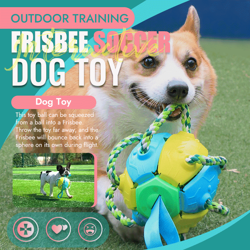 🐾Interactive Flying Disk Ball Dog Toy