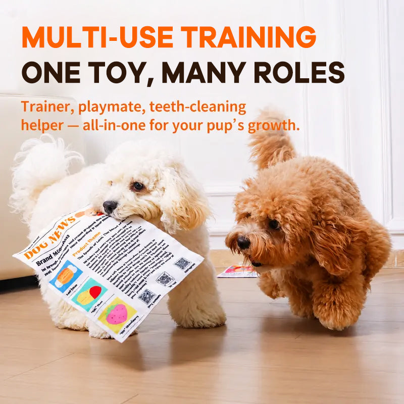 🐾Nteractive Crinkle Dog Toy