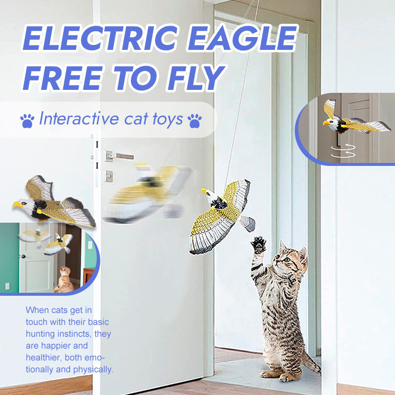 🐾Cat Flying Toy