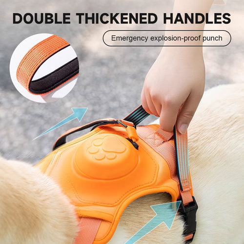 🐾2 in 1 Dog Harness with Integrated Leash
