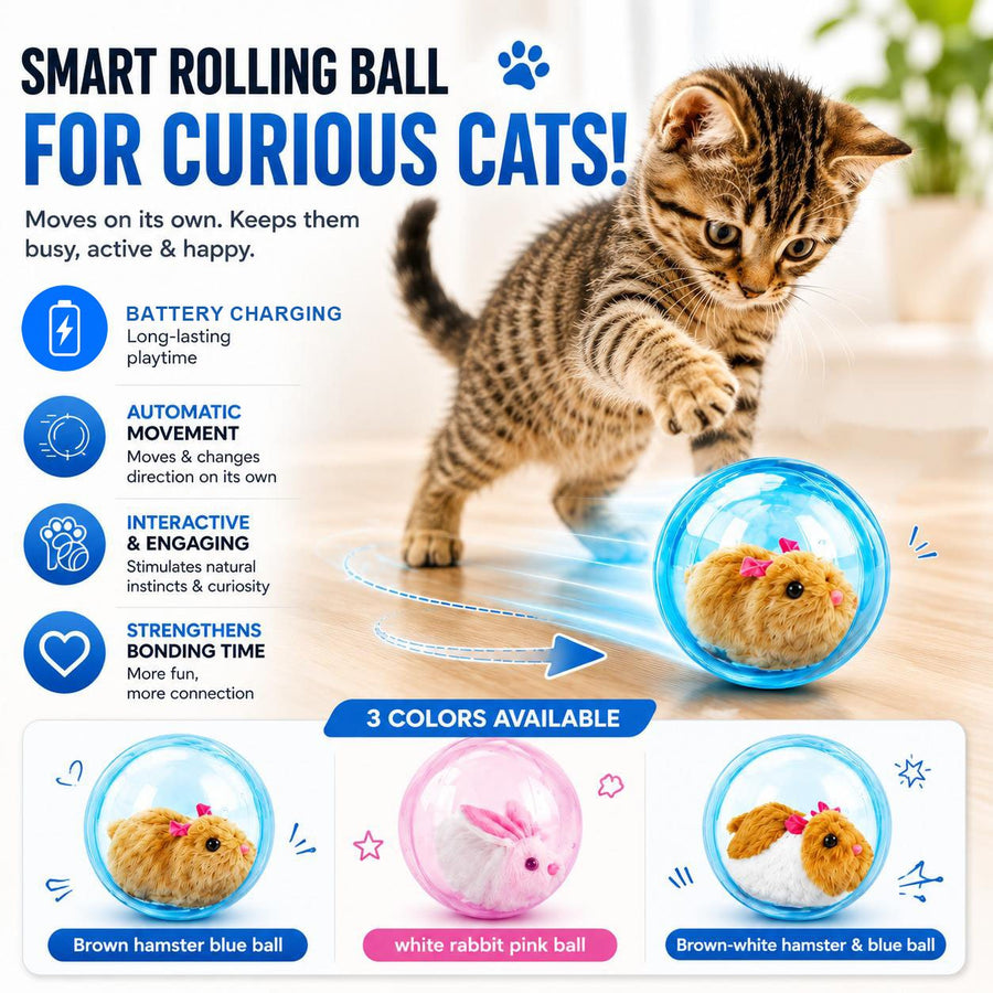 🐱 Smart Interactive Cat Ball – Play, Chase & Discover! 🐭✨🎾