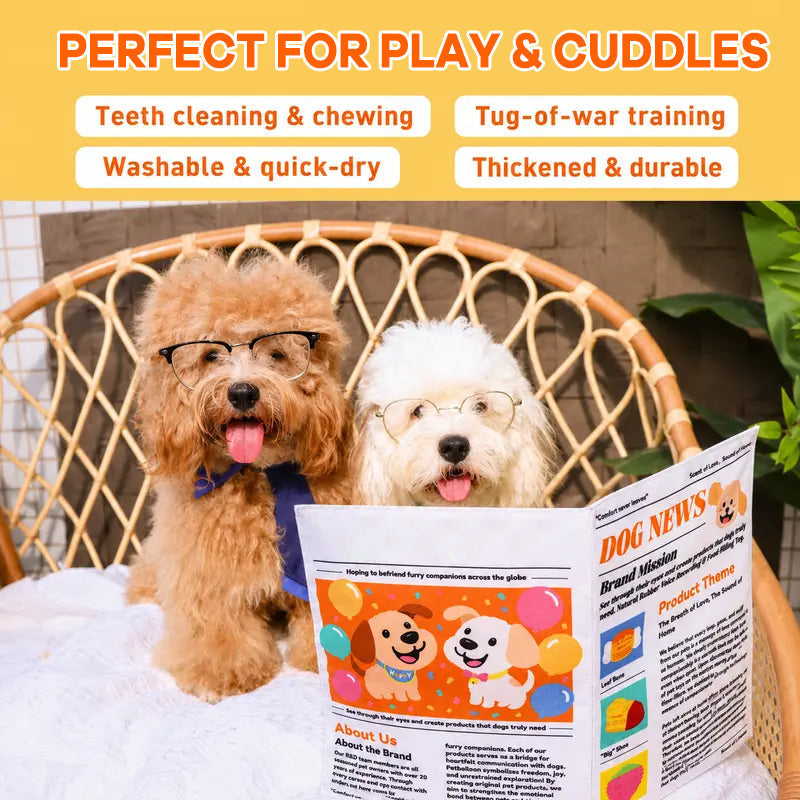 🐾Nteractive Crinkle Dog Toy
