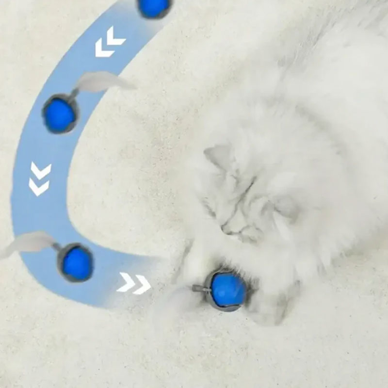🐾SPEEDY TAIL 2.0