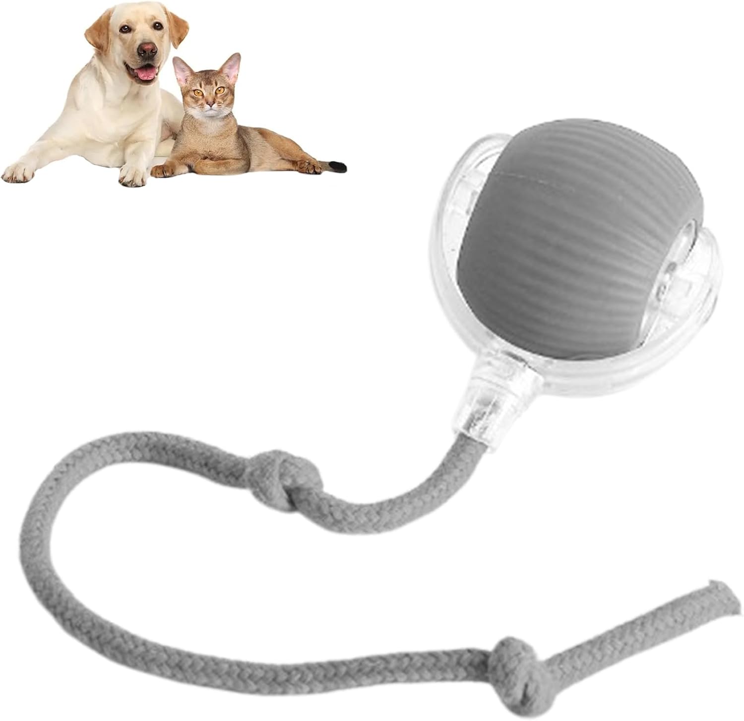 😻Smart Chasing Pet Toy Ball🐶
