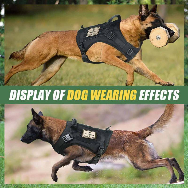 🐾Medium To Large Dog Tactical Harness