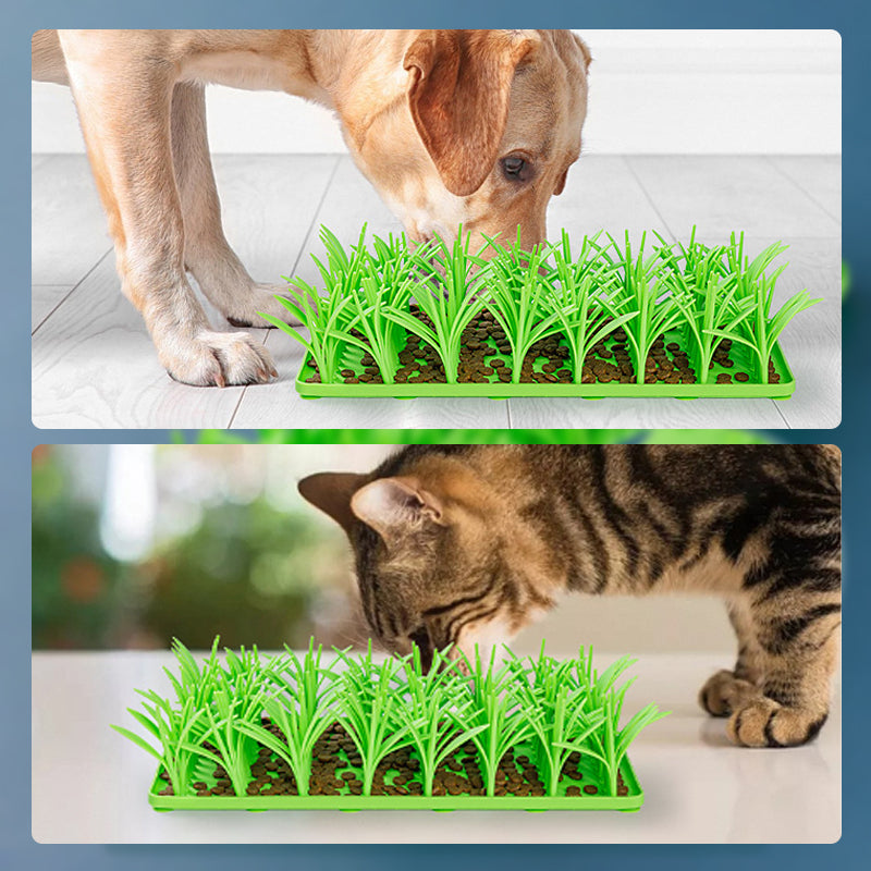🐾Anti-Choking Slow Feeder Mat for Pets