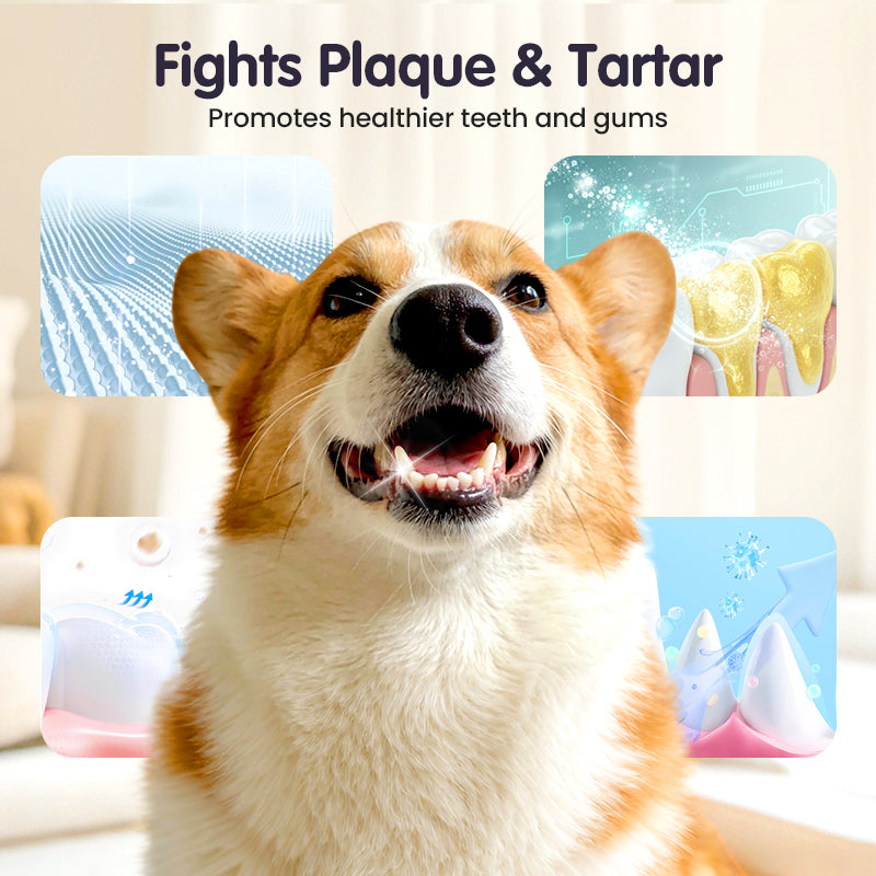 🐾Cat & Dog Dental Cleaning Spray