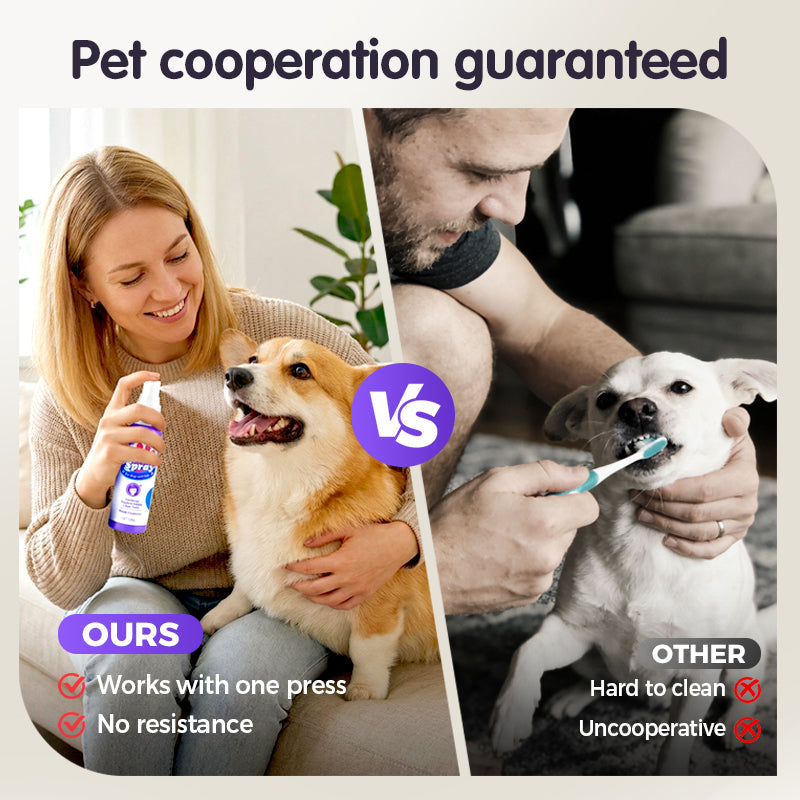 🐾Cat & Dog Dental Cleaning Spray