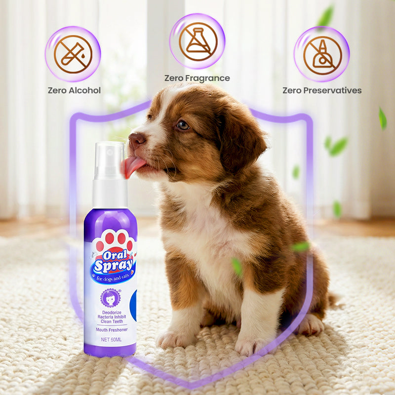 🐾Cat & Dog Dental Cleaning Spray