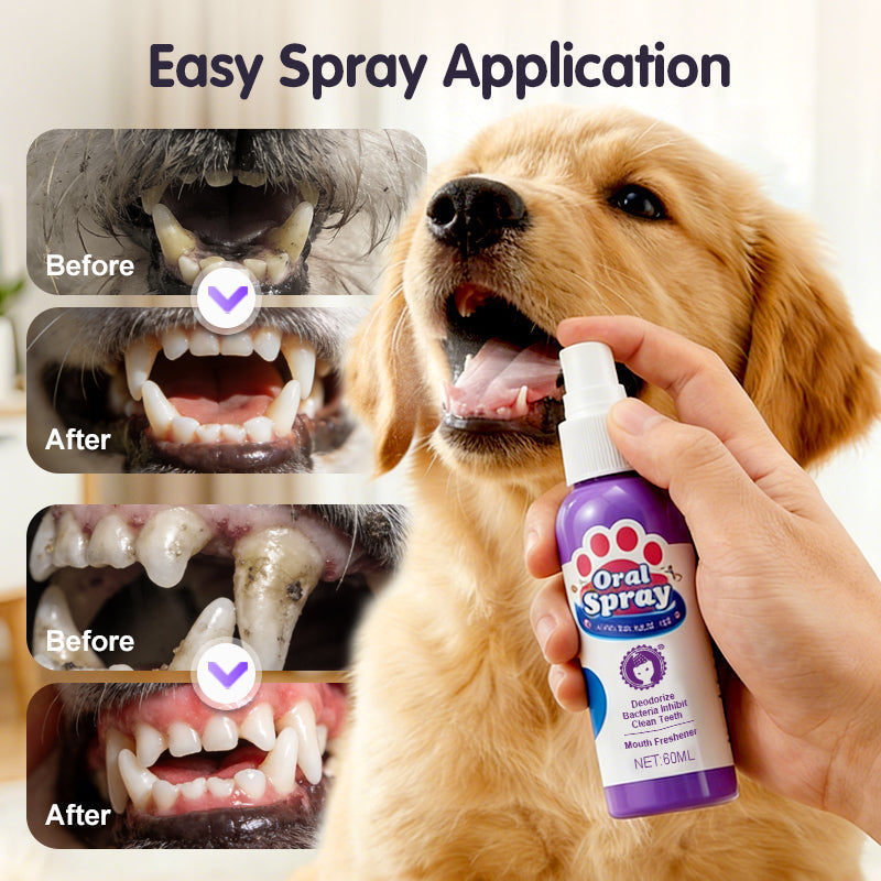 🐾Cat & Dog Dental Cleaning Spray